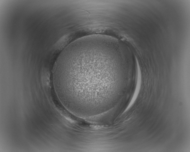 X0000056000693200508221323