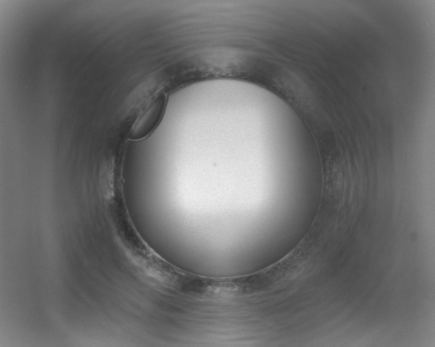 X0000056000694200508221323