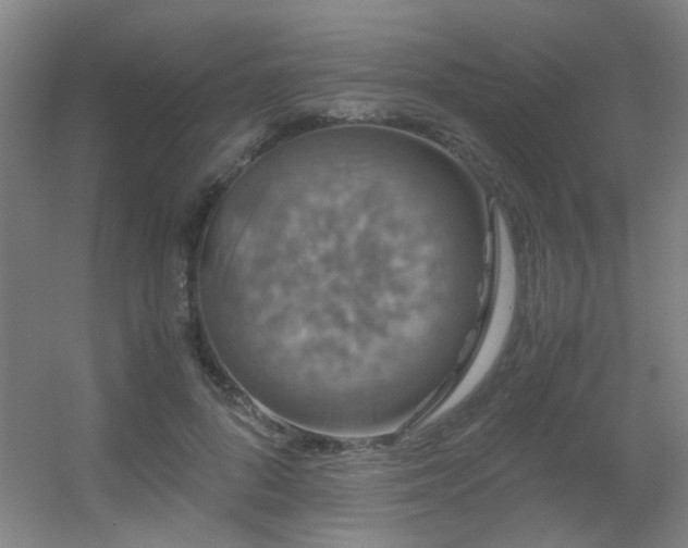 X0000056000696200508221323