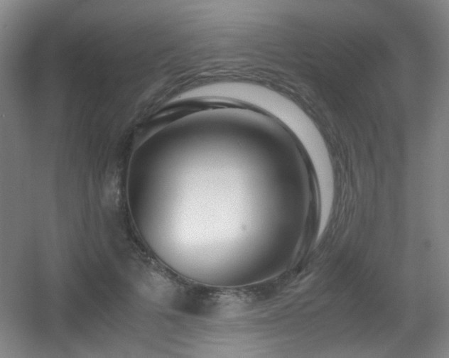 X0000056000697200508221323