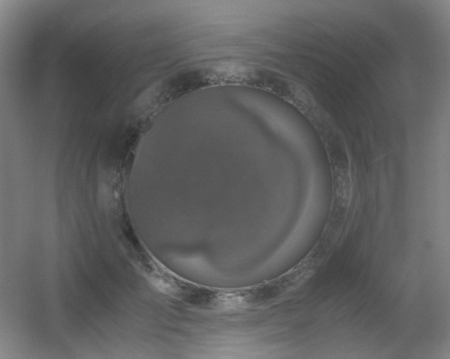 X0000056000701200508221323