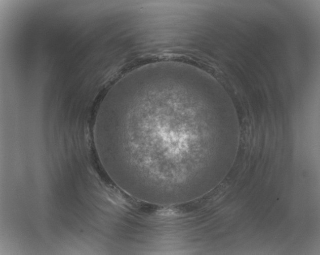 X0000056000704200508221323