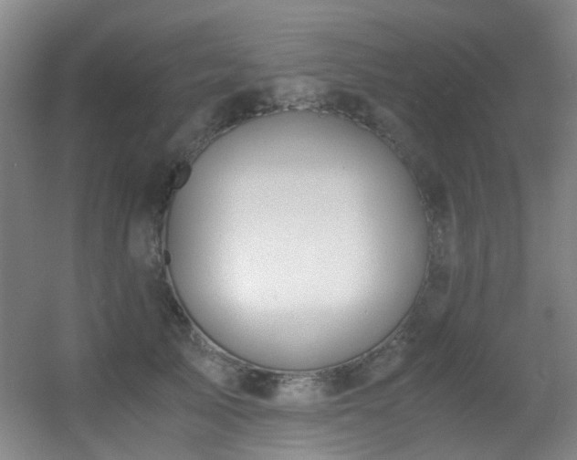 X0000056000705200508221323