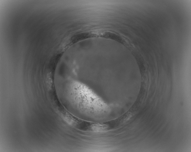 X0000056000707200508221323