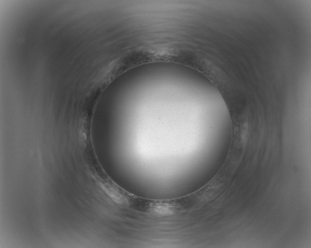 X0000056000710200508221323