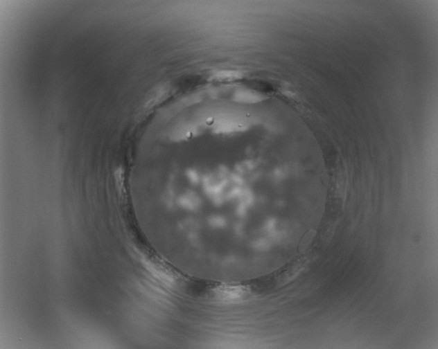 X0000056000711200508221323