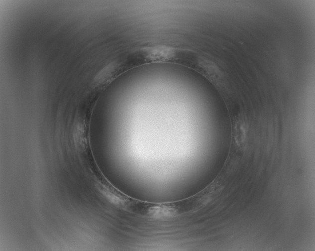 X0000056000714200508221323