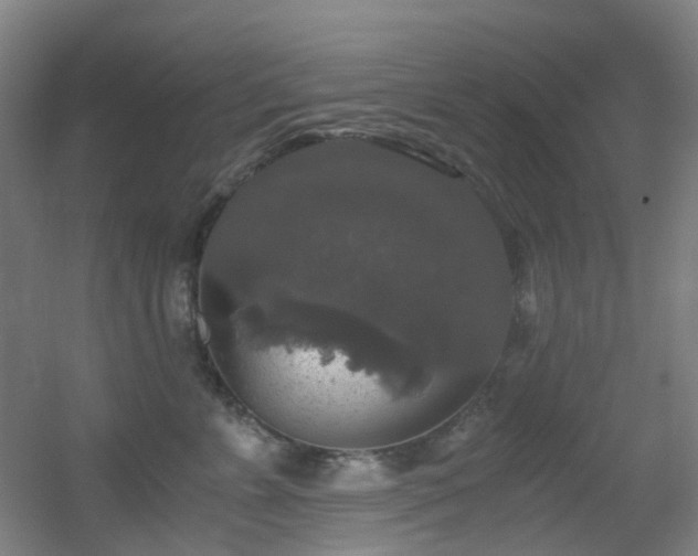 X0000056000715200508221323