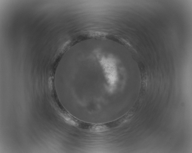 X0000056000716200508221323