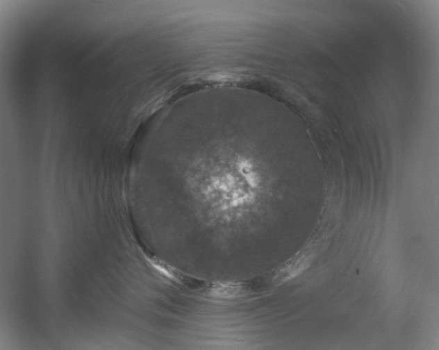 X0000056000720200508221323