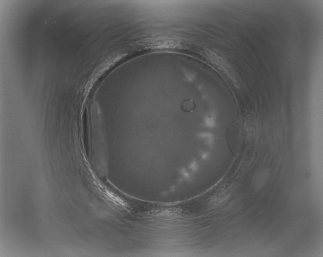 X0000056000721200508221322