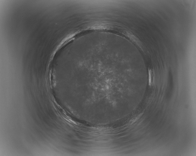 X0000056000723200508221322