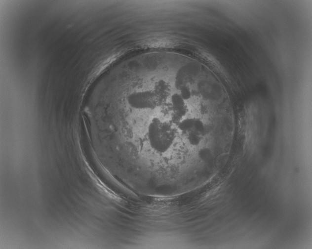 X0000056000725200508221322