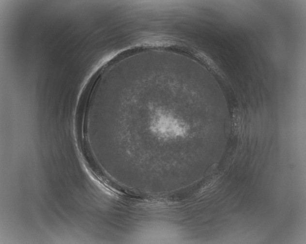 X0000056000726200508221322