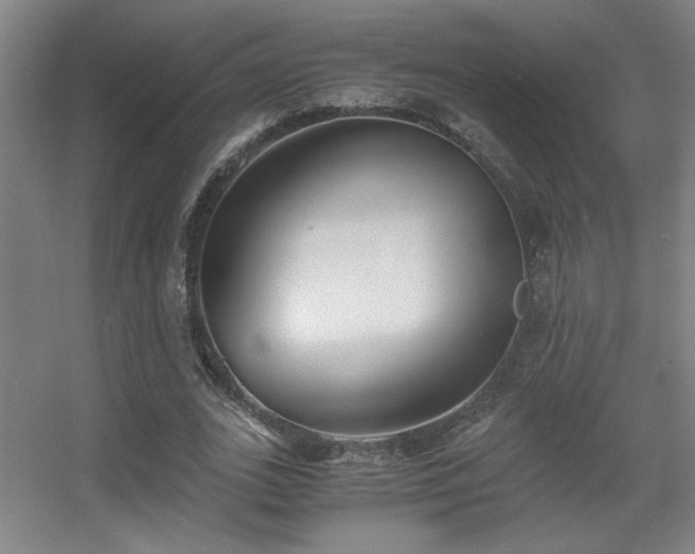 X0000056000727200508221322