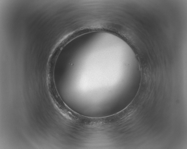 X0000056000728200508221322