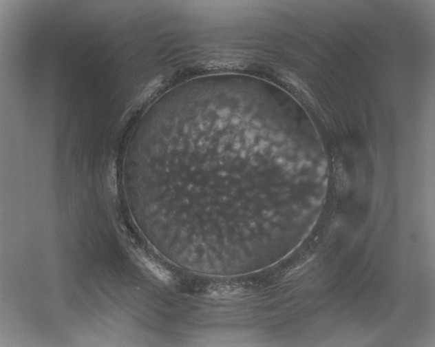 X0000056000729200508221322