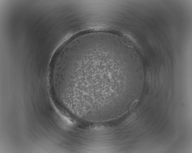 X0000056000730200508221322