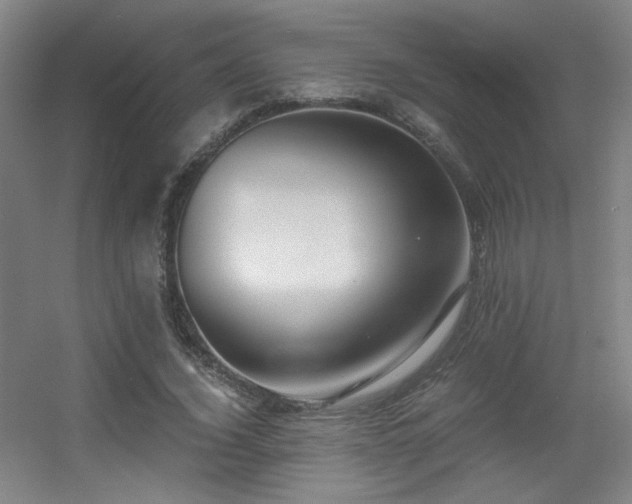 X0000056000732200508221322