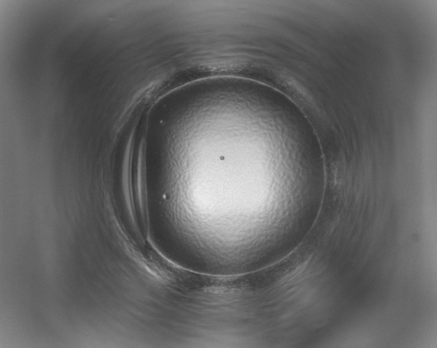 X0000056000733200508221322