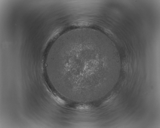 X0000056000735200508221322