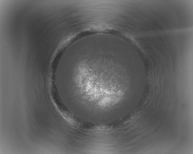 X0000056000736200508221322