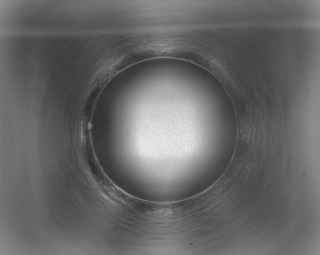 X0000056000740200508221322