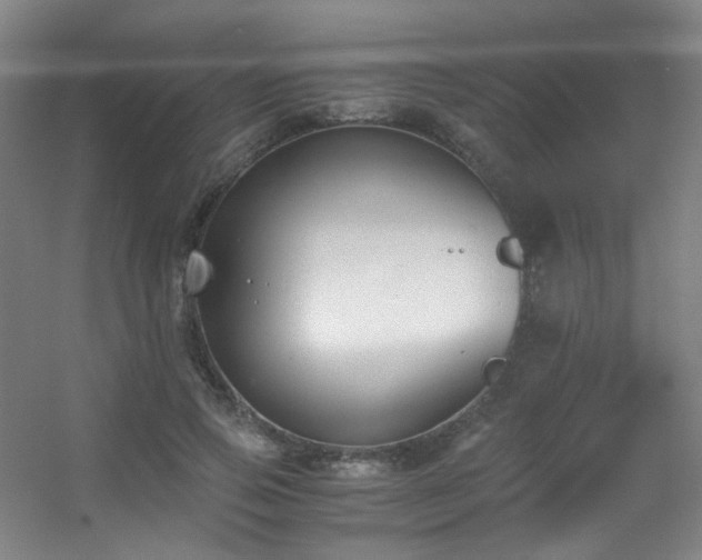 X0000056000741200508221322