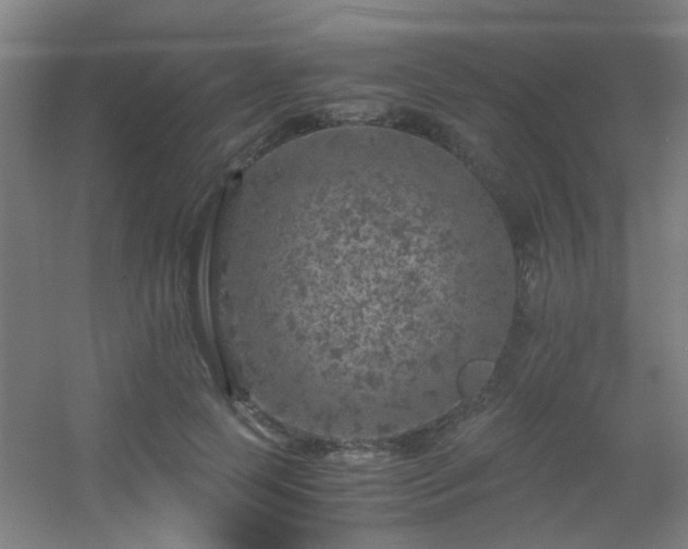 X0000056000745200508221322