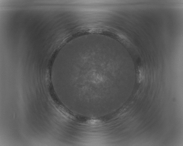 X0000056000748200508221322