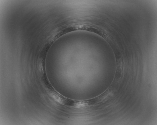 X0000056000754200508221322