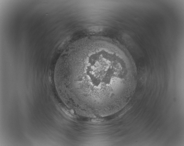 X0000056000758200508221322