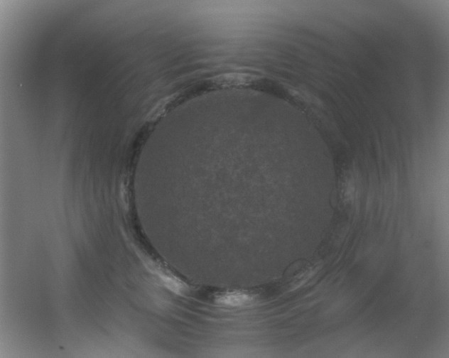 X0000056000759200508221322