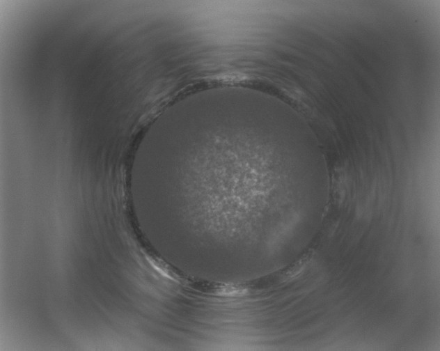 X0000056000760200508221322