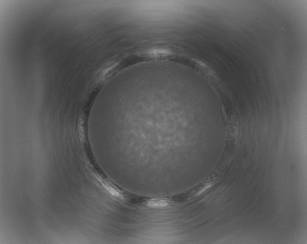 X0000056000762200508221323