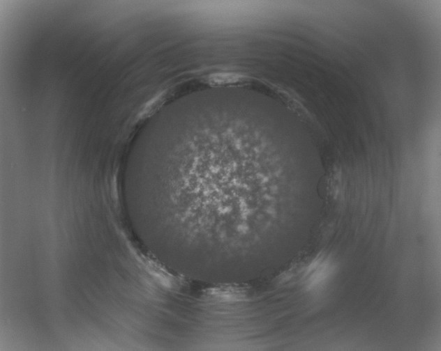 X0000056000763200508221323