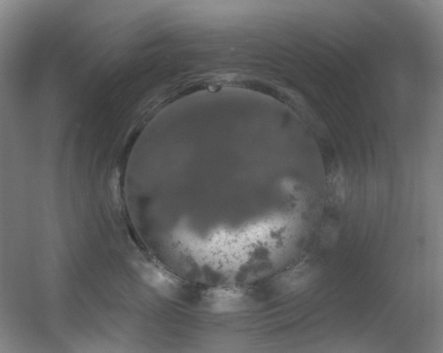 X0000056000765200508221323