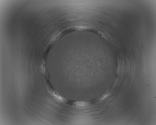 X0000056000766200508221323