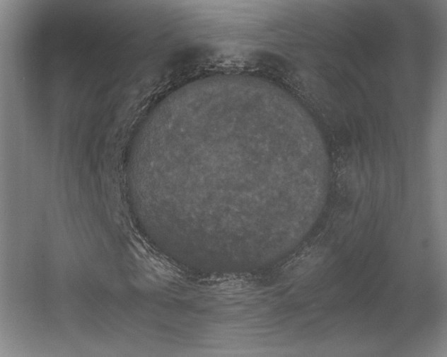 X0000056000769200508221322