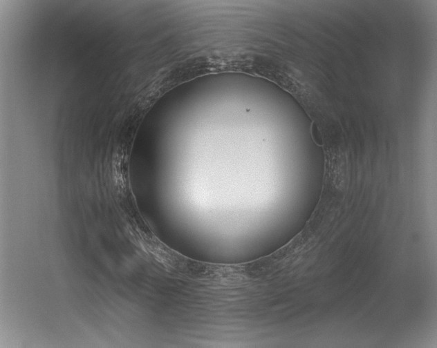 X0000056000770200508221322