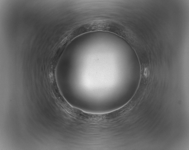 X0000056000771200508221322