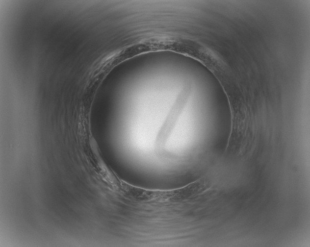 X0000056000773200508221322