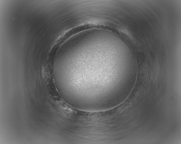 X0000056000776200508221322