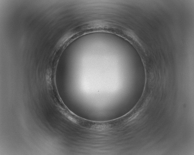 X0000056000778200508221322