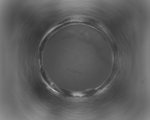 X0000056000779200508221322