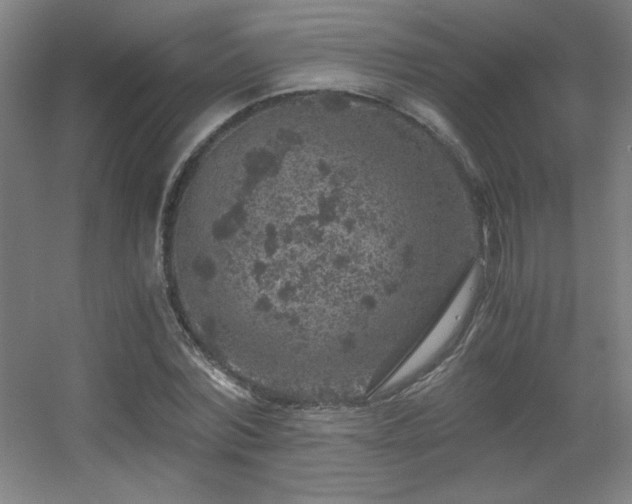 X0000056000780200508221322