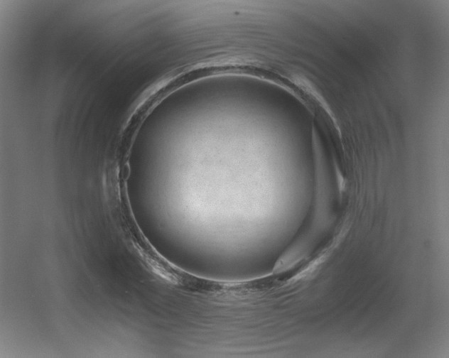 X0000056000781200508221322