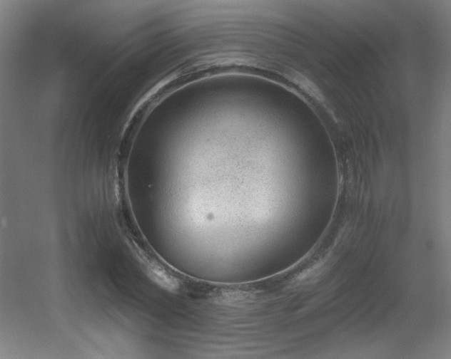 X0000056000782200508221322