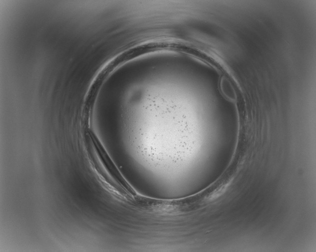 X0000056000783200508221322