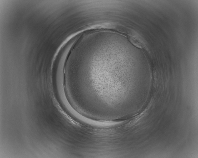 X0000056000784200508221322